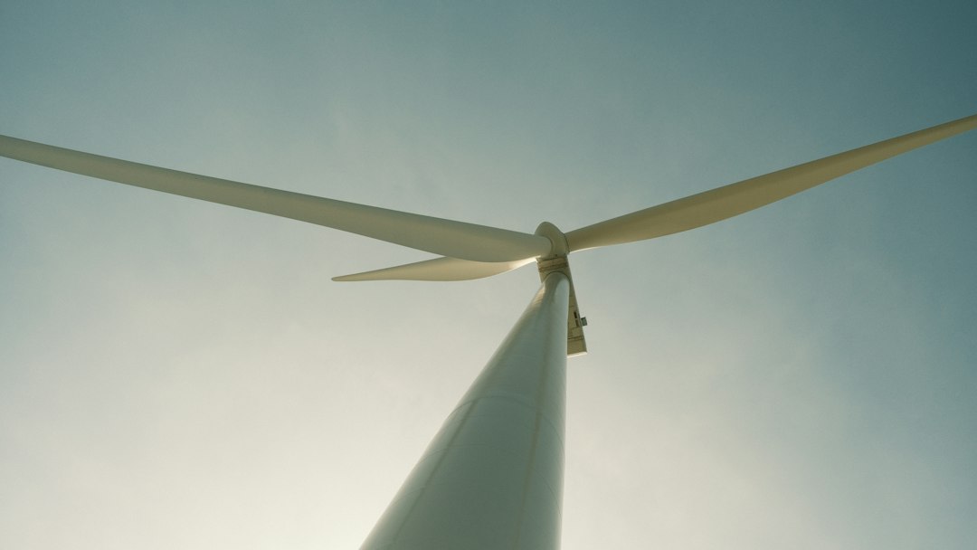 Balancing Capital Efficiency and Operational Leverage for Sustainable Expansion