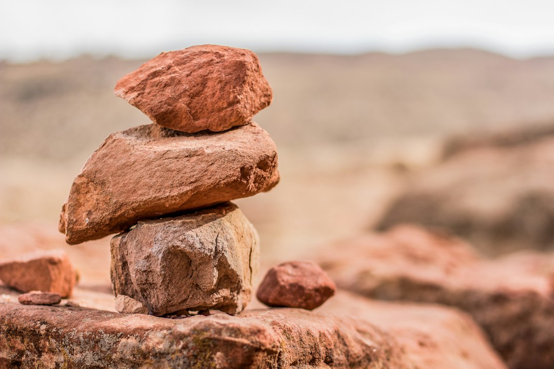 Balancing the Daily Grind: A Framework for Operational Excellence and Strategic Growth