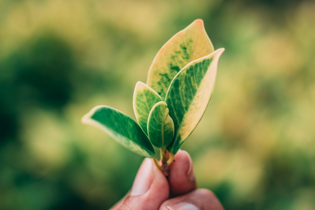 Building a Resilient Foundation: The Path to Sustainable Business Growth