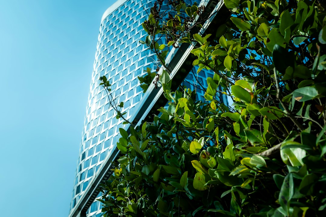 Building Resilient Expansion: A Strategic Guide to Sustainable Business Growth