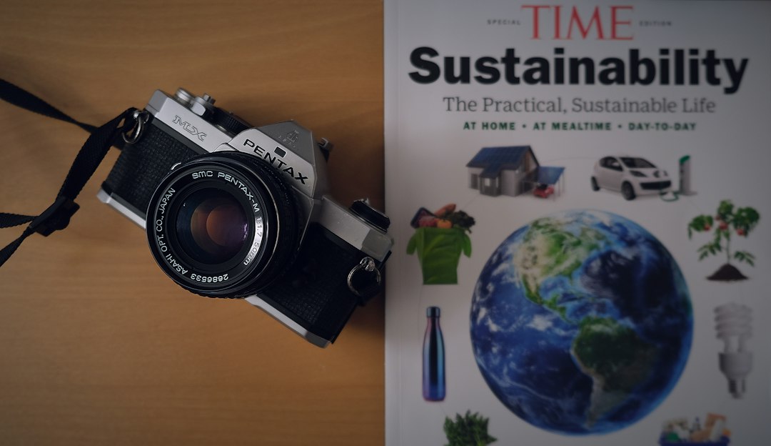 Scaling Without Stalling: A Practical Guide to Sustainable Business Growth