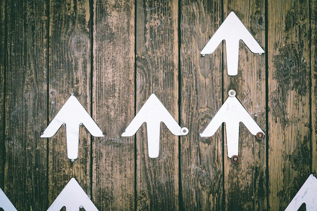 Scaling Without the Crash: A Guide to Sustainable Business Expansion