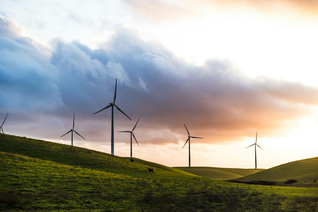 The Commercial Engine: How Commercial Loans Drive Sustainable Business Expansion