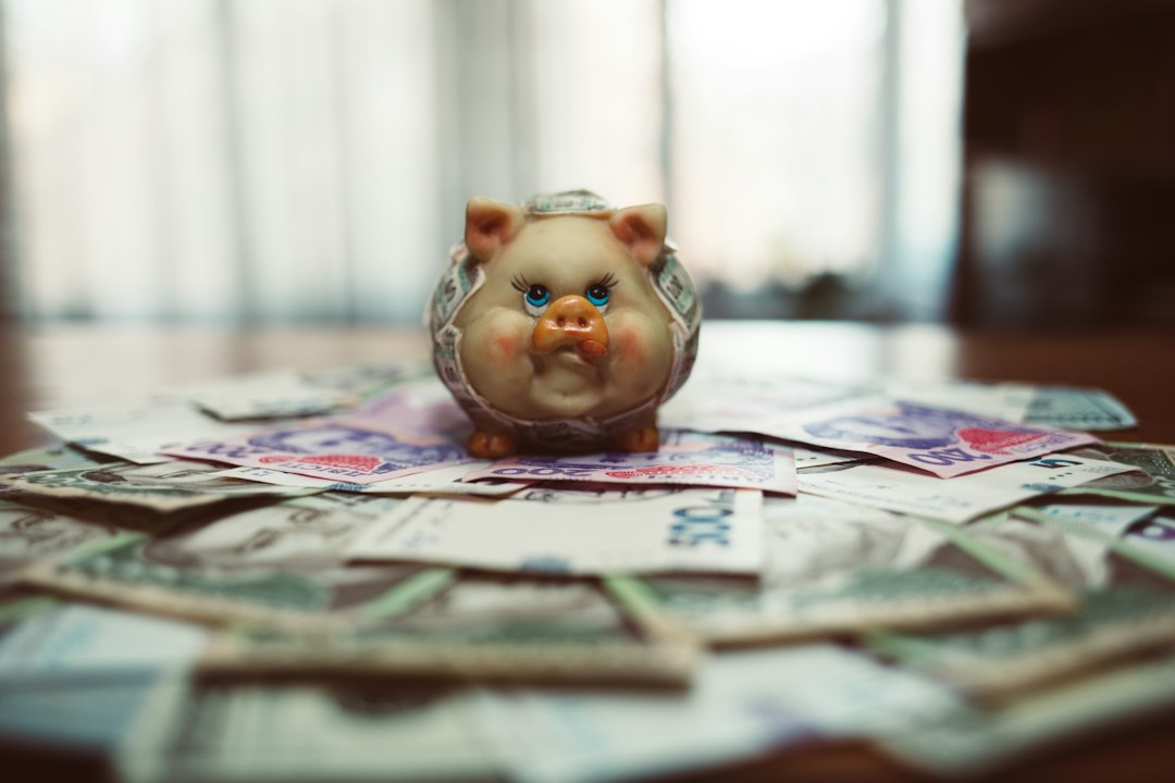 The Firewall of Wealth: Separating Personal and Business Finances for Stability
