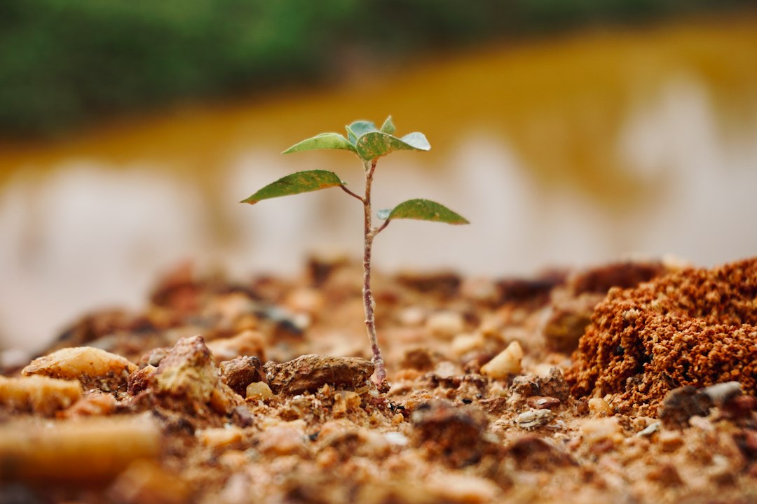 The Foundation of Growth: Structuring a Business Plan for Sustainable Success