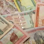 The Funding Fork: Choosing Between SBA Loans, Bank Lines, and Online Lenders