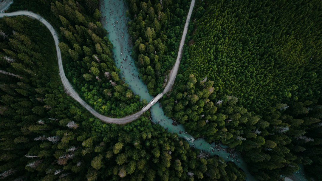 The Resilient Roadmap: A Practical Framework for Sustainable Business Planning