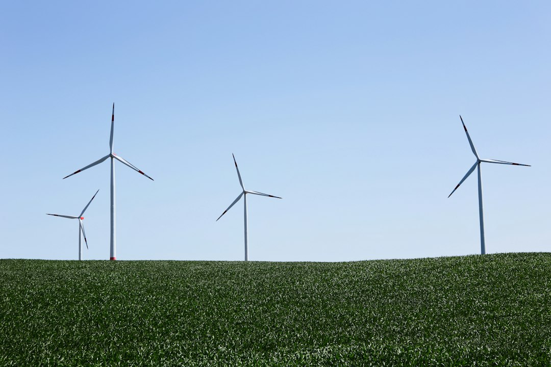 The Sustainable Growth Engine: Balancing Speed and Stability for Long-Term Success